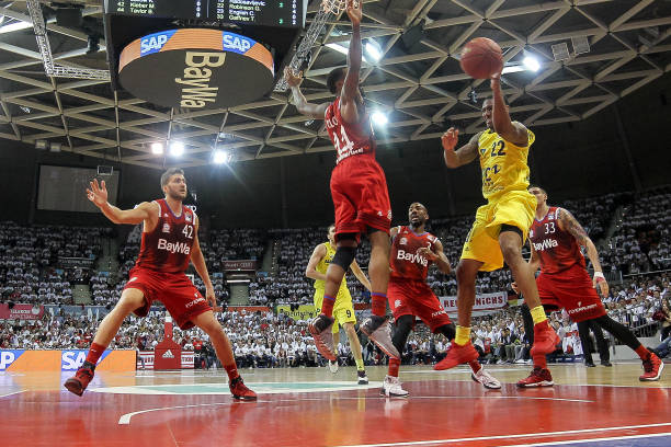 泰山队的美 泰山队的美